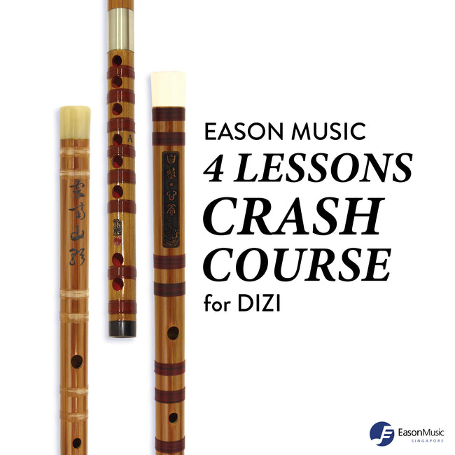 Dizi 4 Lesson Crash Course Package